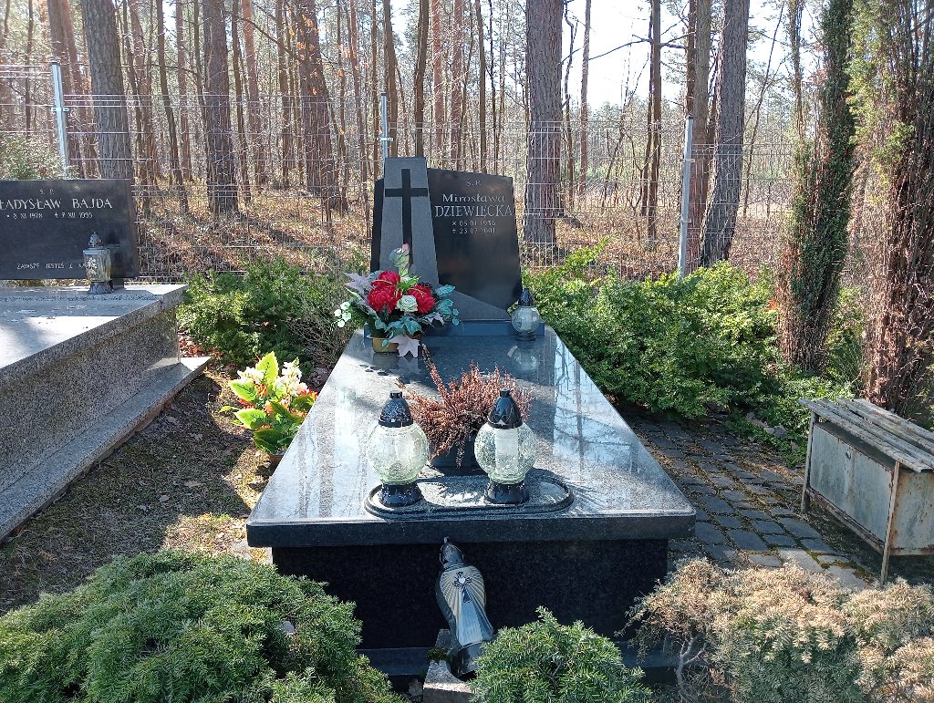 Grób Janusz Dziewięcki
